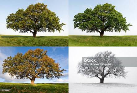 psychopraticien jordan jacques